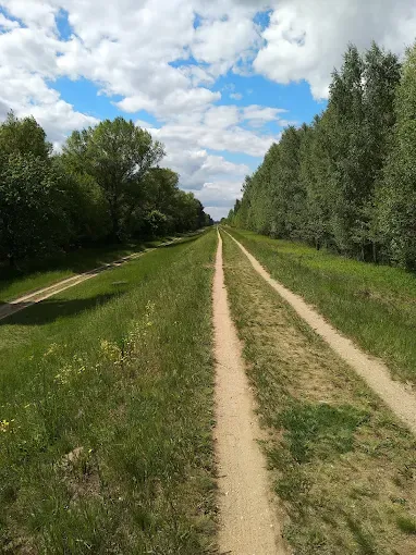 Rezerwat przyrody Wieliszewskie Łęgi